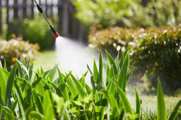 24/7 Emergency Mosquito Control experts in Gallup, NM