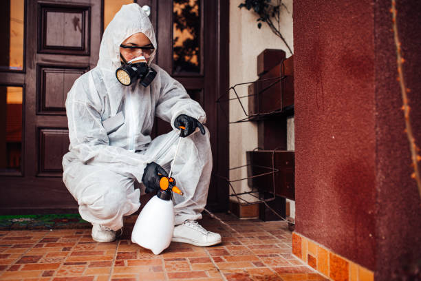 Reliable Mosquito Control contractor in Gallup, NM by Show Me Pest Control